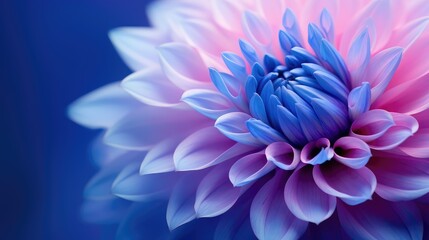 Obraz premium up purple blue background