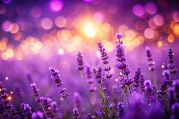 Majestic Purple Bokeh Background: Abstract Purple Lights and Blurred Shapes