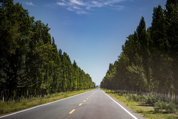 Expressways and national roads in Xinjiang, China