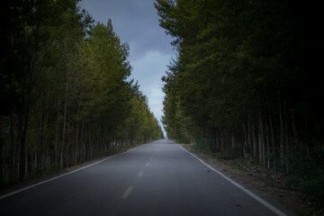 Obraz premium Expressways and national roads in Xinjiang, China