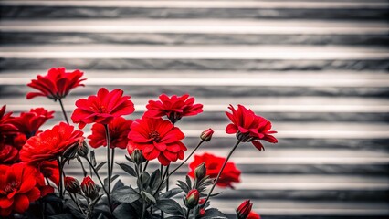 Minimalist Red Flower Monochromatic Painting, Gray White Background, Black White Stripe