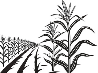 Obraz premium Black and white illustration, cornfield, rows of corn plants, perspective drawing, detailed line art, agricultural landscape, geometric patterns, vanishing point, stylized crop field, minimalist farm 