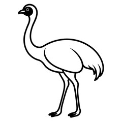 Stylized Ostrich Bird Vector Icon for Digital & Print Projects.
