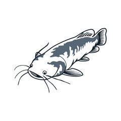 Obraz premium fish vector and image natural