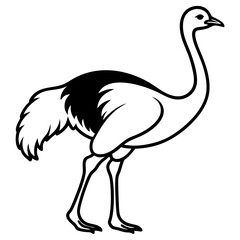 Ostrich Silhouette Vector Ideal for Branding & Nature Art.