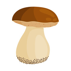 Porcini mushroom. Edible forest mushroom Hand drawn trendy flat style isolated icon. Fresh boletus. Autumn fungus. cep, penny bun, porcino. Botanical Vector illustration 