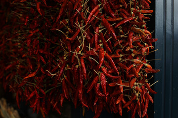 Naklejka premium bunch of pepper garlic spices dried spices mediterranean