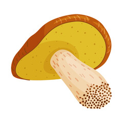 Suillus luteus, yellow mushroom. Edible forest fungus slippery jack or sticky bun. Suillus mushroom or yellow pig Hand drawn trendy flat style isolated icon. Vector illustration