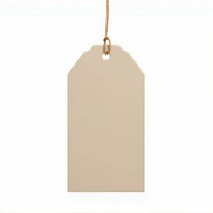 Cream Colored Blank Tag with Twine Hanger for Price or Gift Information Minimalist Design