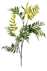 Decorative artificial plants made of silicone and latex for modern home decor