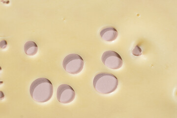 Smooth Yellow Cheese with Characteristic Holes