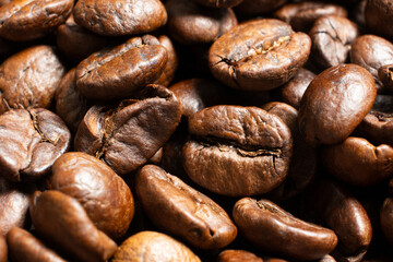 Fototapeta premium Aromatic coffee beans surface rich brown.