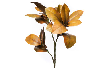 Artificial foliage showcasing silicone and latex plant design for home decoration and ambiance enhancement