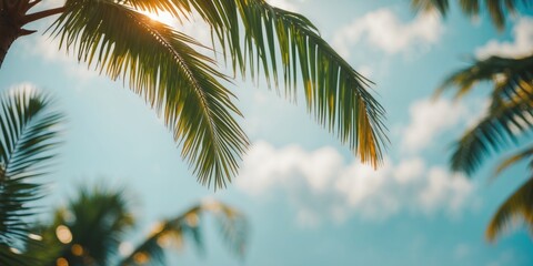 Fototapeta premium Close-up of palm tree leaves against bright blue sky with scattered clouds and sunlight filtering through foliage