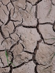 background showing cracked and dryb ground 
