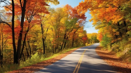 Obraz premium colorful autumn road