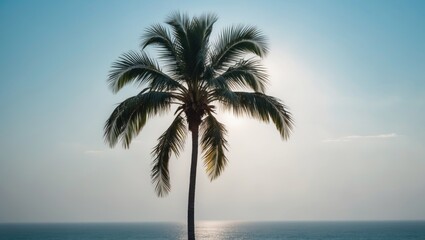 Silhouette of a solitary palm tree against a bright sky and ocean background during sunset or sunrise with tranquil scenery