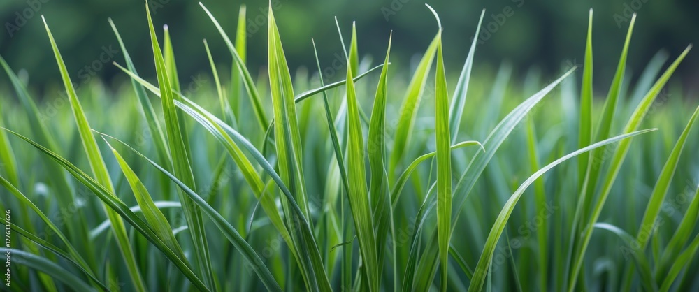 Poster close-up view of fresh green grass blades with a blurred background emphasizing depth of field in a 