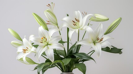 Fototapeta premium lilies spring flowers white background
