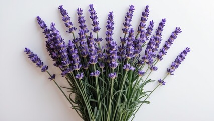 Lavender flowers bouquet arranged neatly on a white background showcasing vibrant purple blooms and green stems