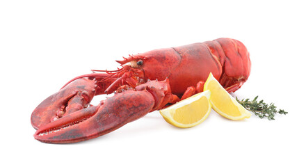 Tasty boiled lobster, lemon and thyme isolated on white