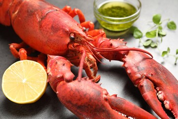 Delicious boiled lobster with oil, microgreens and lemon piece on grey table, closeup