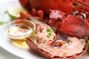 Delicious boiled lobster served on white table, closeup