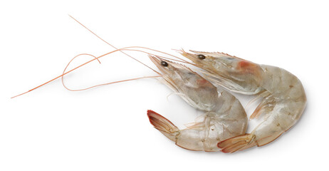 Fresh raw shrimps isolated on white, top view