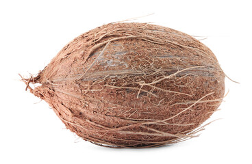 One whole coconut in shell isolated on white