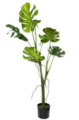 Artificial plants made of silicone and latex in a modern indoor setting for home or office decoration