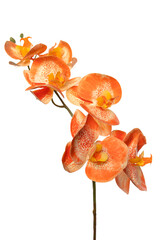 Bright orange silicone and latex orchid flowers arranged elegantly in a vibrant display