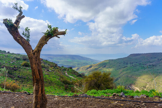 Golan Heights landscape, with Sea of Galilee