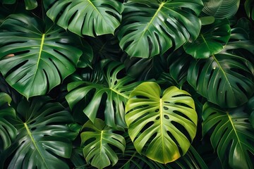 Intertwined Lush Tropical Leaves: Close-Up Shot of Vibrant Green Artistic Backdrop
