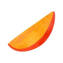 Watercolor slice mango Illustration. Hand drawn cutting exotic fruit section