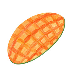 Watercolor cross section slice mango Illustration. Hand drawn cutting exotic fruit