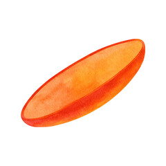 Watercolor oval slice mango Illustration. Hand drawn cutting exotic fruit.