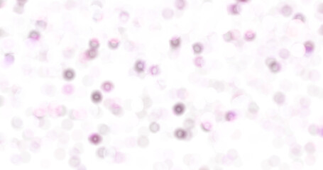 Colorful bokeh blur against a White Background Tranparent BG