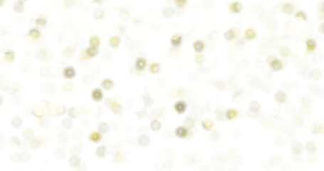 Colorful bokeh blur against a White Background Tranparent BG