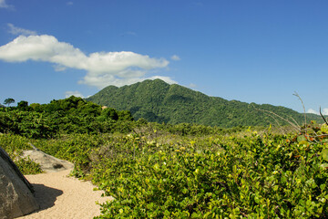 Naklejka premium Playa virgen con montañas en el Parque Nacional Natural Tayrona, Colombia