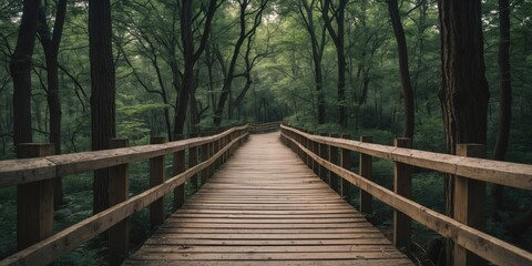 Fototapeta premium Wooden walkway through dense green forest surrounded by tall trees and lush foliage on a calm day