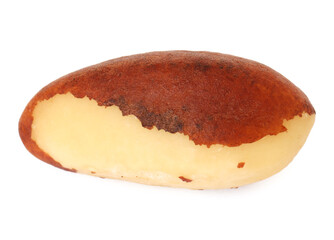 One tasty Brazil nut isolated on white