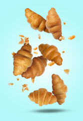 Delicious croissants and crumbs falling on light blue background. Puff pastry