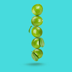 Fresh whole lime falling on light blue background