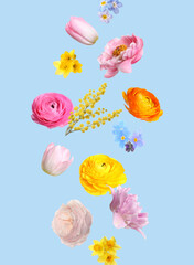 Beautiful spring flowers flying on pastel blue background