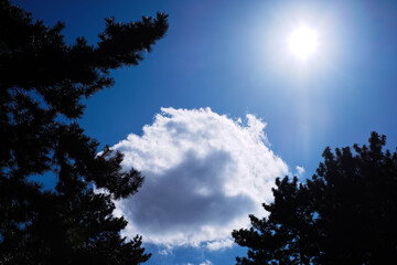 白い雲と太陽