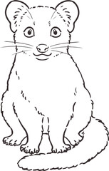Cute line art illustration of Common Palm Civet