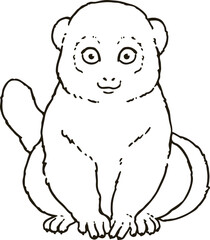Cute line art illustration of Eastern lesser bamboo lemur
