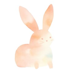 Fototapeta premium Bunny rodent animal mammal.