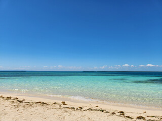 Beautiful scenic beach in the Western Caribbean in Roatán, Honduras