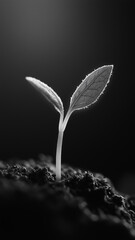 Sprout in the ground with leaves close-up black and white effect. Generated by artificial intelligence.